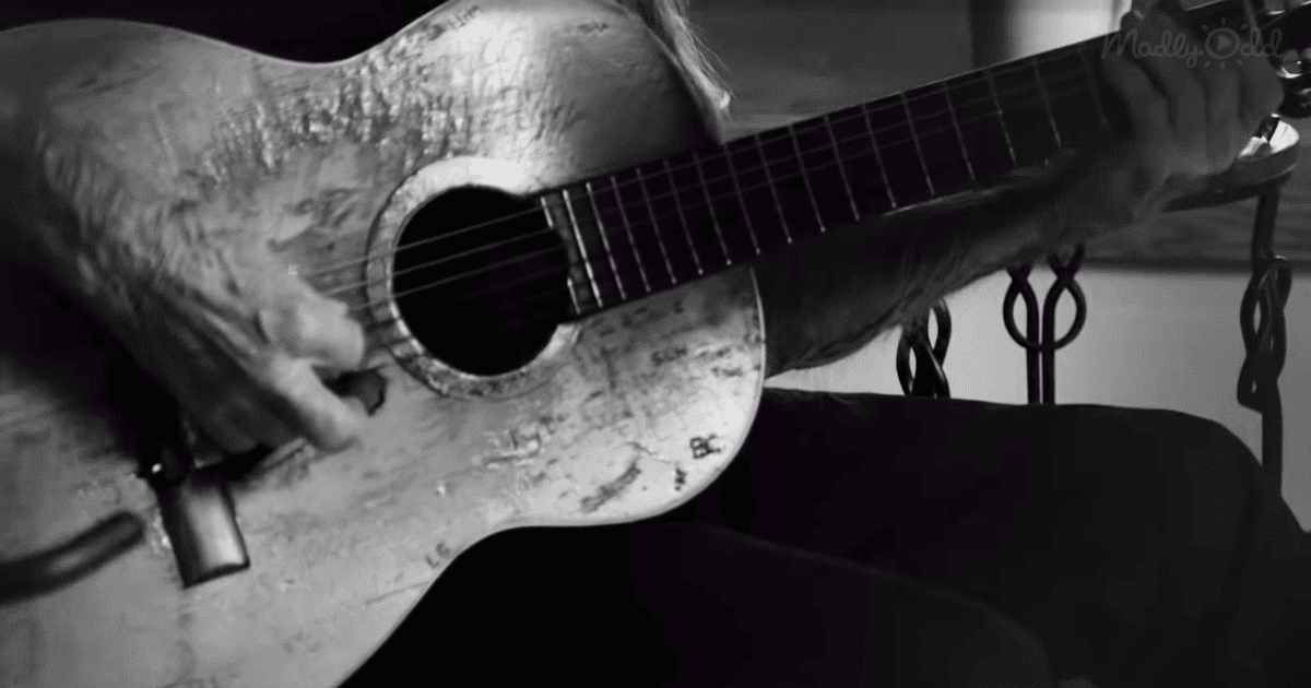 Willie Nelson's Guitar, Trigger