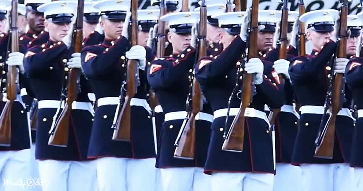 Marines synchronized rifle performance