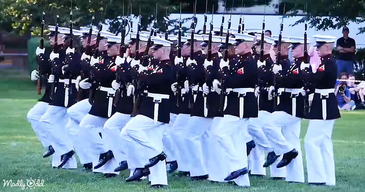 Marines synchronized rifle performance