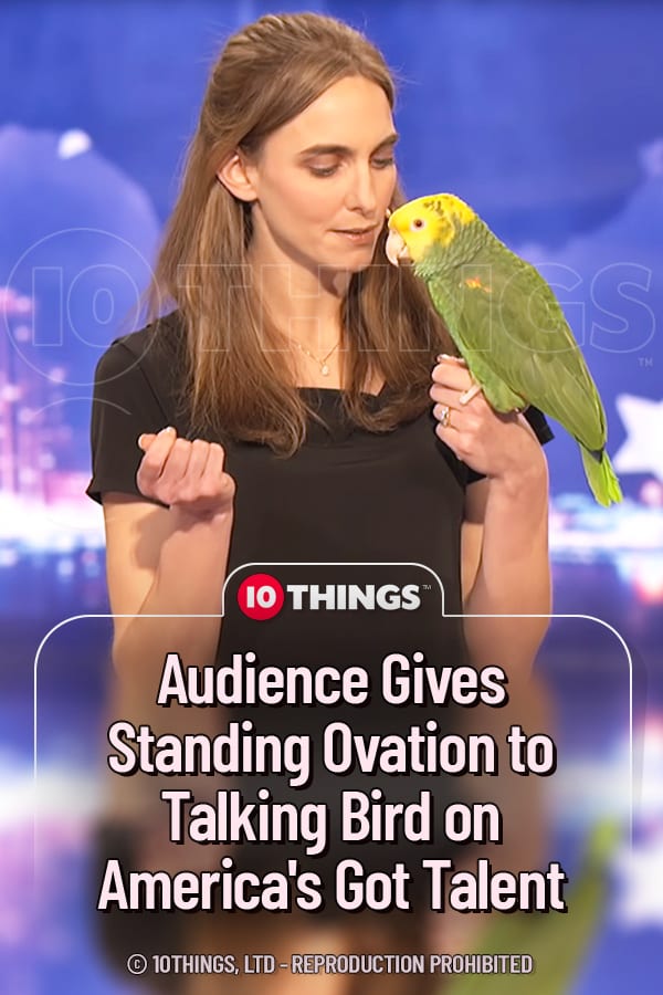 Audience Gives Standing Ovation to Talking Bird on America\'s Got Talent