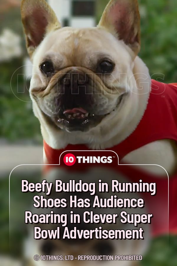 Beefy Bulldog in Running Shoes Has Audience Roaring in Clever Super Bowl Advertisement