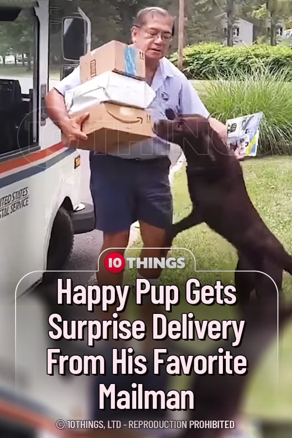 Happy Pup Gets Surprise Delivery From His Favorite Mailman