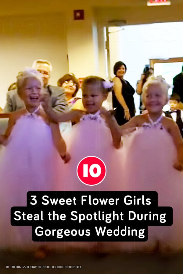 3 Sweet Flower Girls Steal the Spotlight During Gorgeous Wedding