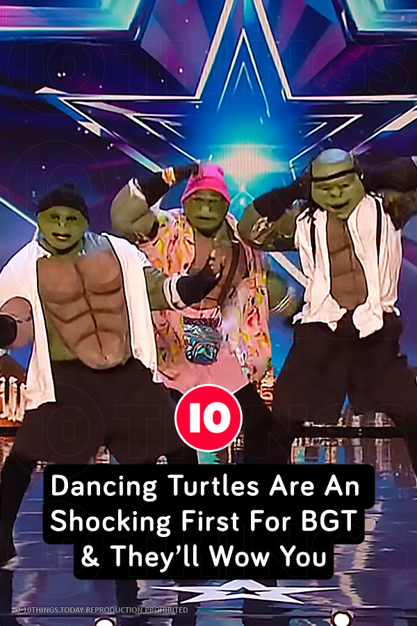 Dancing Turtles Are An Shocking First For BGT & They’ll Wow You
