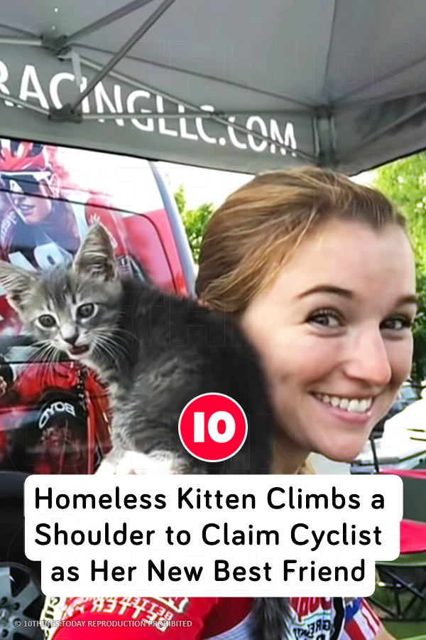 Homeless Kitten Climbs a Shoulder to Claim Cyclist as Her New Best Friend