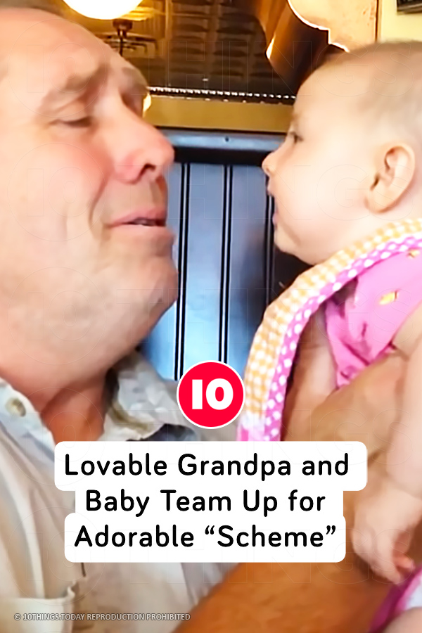 Lovable Grandpa and Baby Team Up for Adorable “Scheme”
