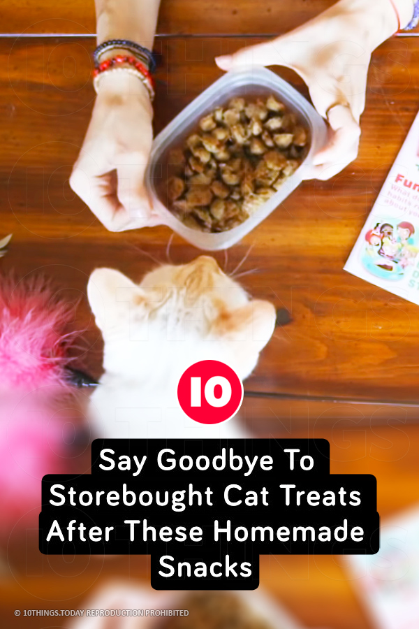 Say Goodbye To Storebought Cat Treats After These Homemade Snacks