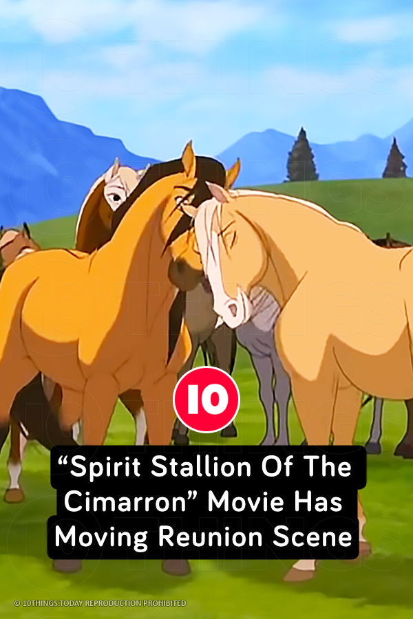 “Spirit Stallion Of The Cimarron” Movie Has Moving Reunion Scene