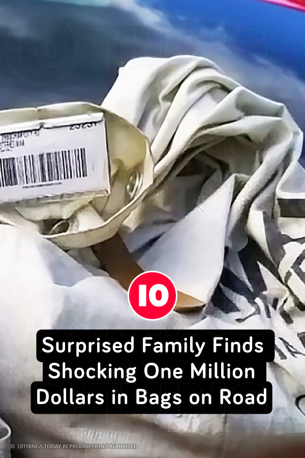 Surprised Family Finds Shocking One Million Dollars in Bags on Road