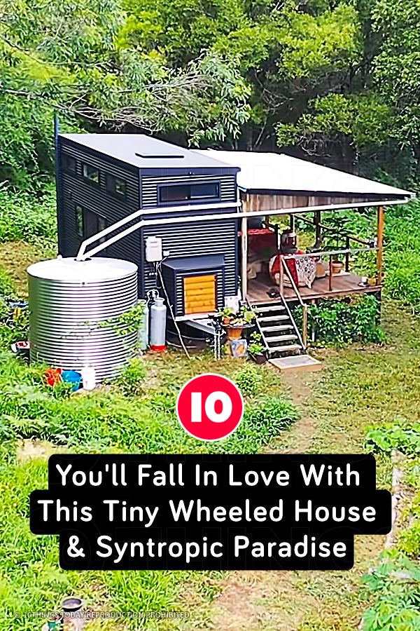 You\'ll Fall In Love With This Tiny Wheeled House & Syntropic Paradise