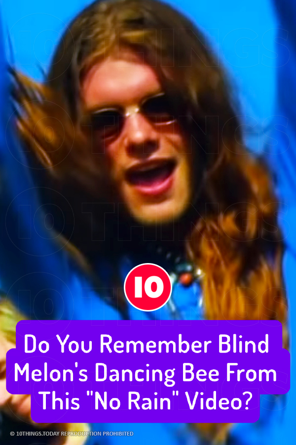 Do You Remember Blind Melon\'s Dancing Bee From This \