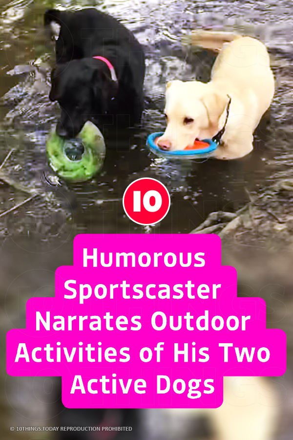 Humorous Sportscaster Narrates Outdoor Activities of His Two Active Dogs