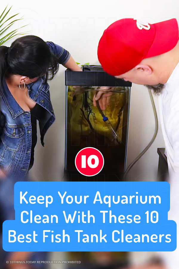Keep Your Aquarium Clean With These 10 Best Fish Tank Cleaners
