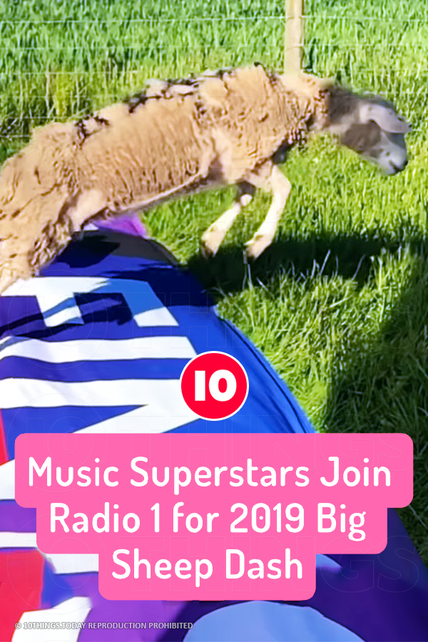 Music Superstars Join Radio 1 for 2019 Big Sheep Dash