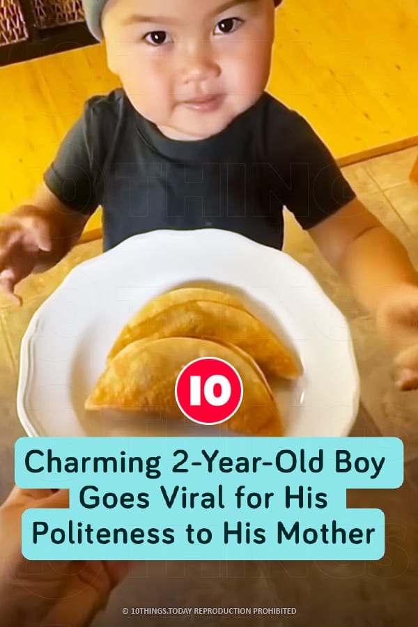 Charming 2-Year-Old Boy Goes Viral for His Politeness to His Mother