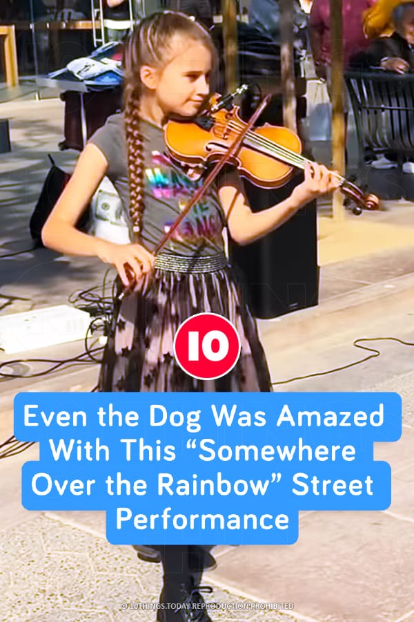 Even the Dog Was Amazed With This “Somewhere Over the Rainbow” Street Performance