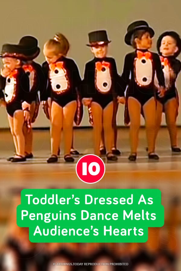 Toddler’s Dressed As Penguins Dance Melts Audience’s Hearts