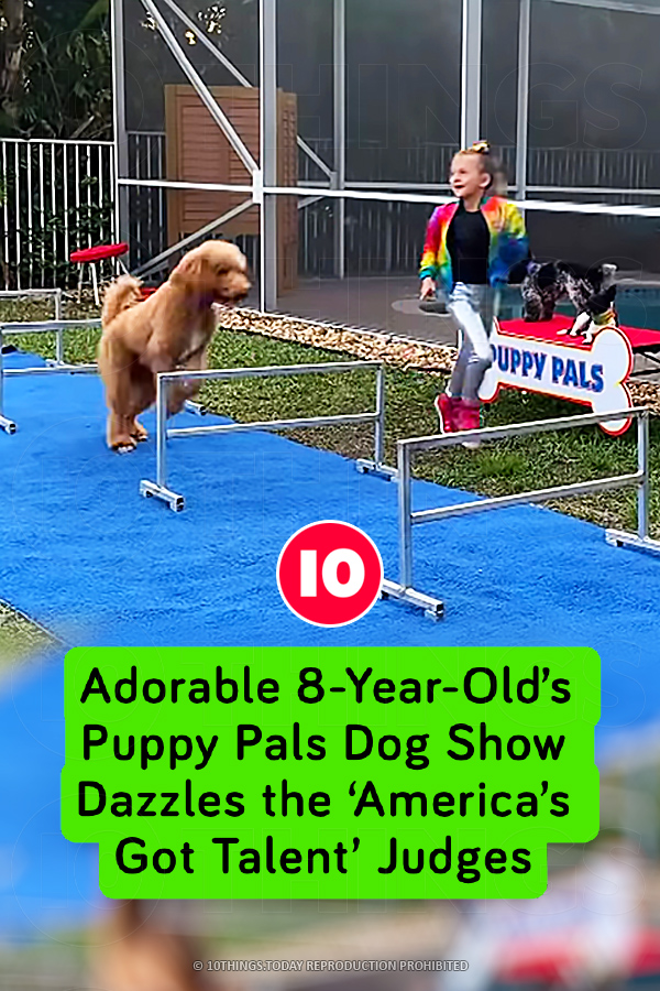 Adorable 8-Year-Old’s Puppy Pals Dog Show Dazzles the ‘America’s Got Talent’ Judges