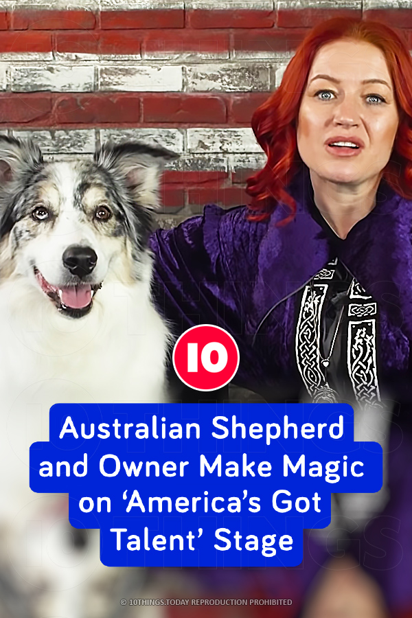 Australian Shepherd and Owner Make Magic on ‘America’s Got Talent’ Stage