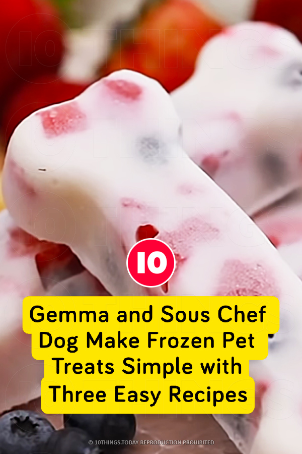 Gemma and Sous Chef Dog Make Frozen Pet Treats Simple with Three Easy Recipes