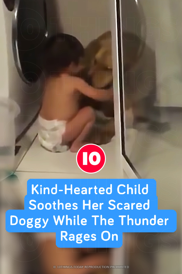 Kind-Hearted Child Soothes Her Scared Doggy While The Thunder Rages On