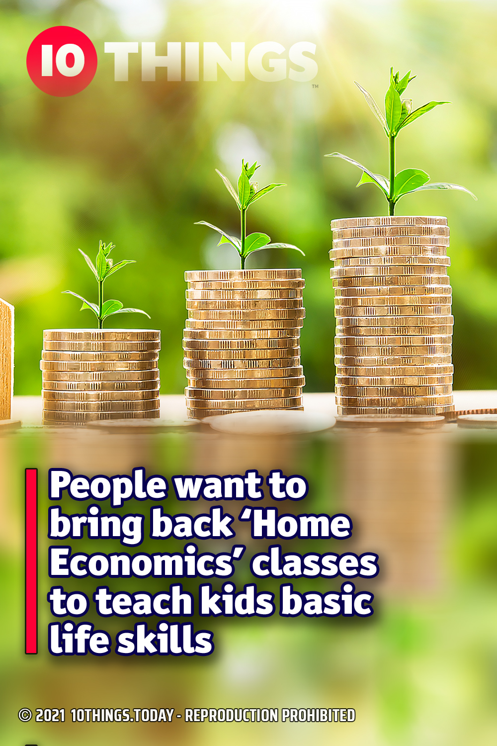 People want to bring back ‘Home Economics’ classes to teach kids basic life skills