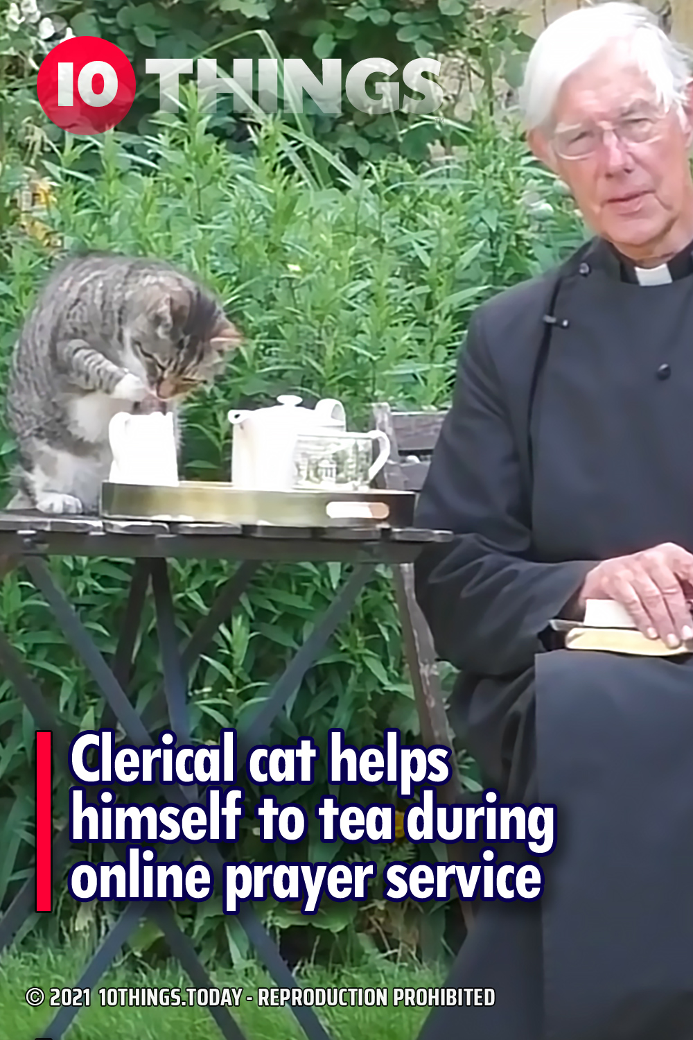 Clerical cat helps himself to tea during online prayer service