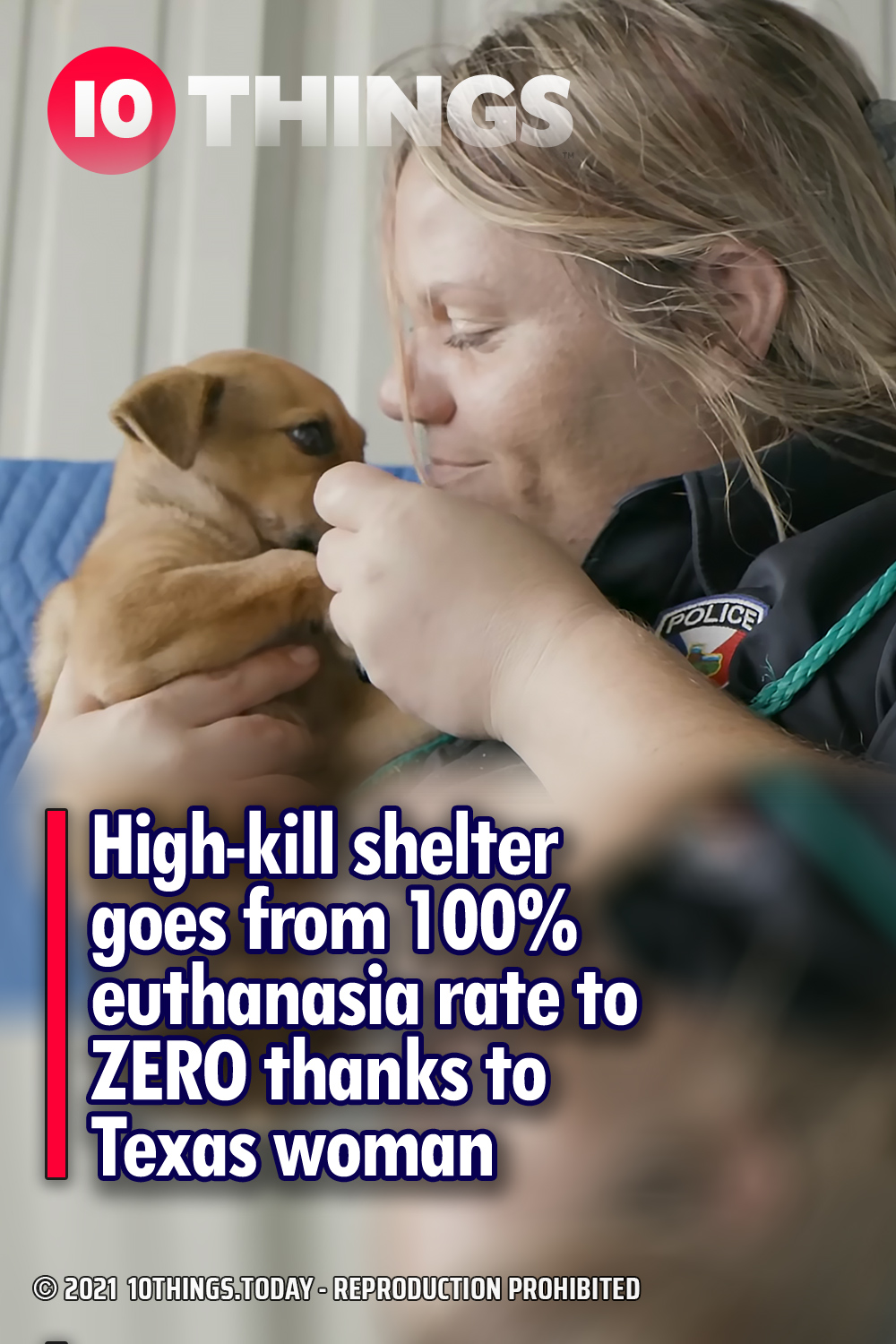 High-kill shelter goes from 100% euthanasia rate to ZERO thanks to Texas woman