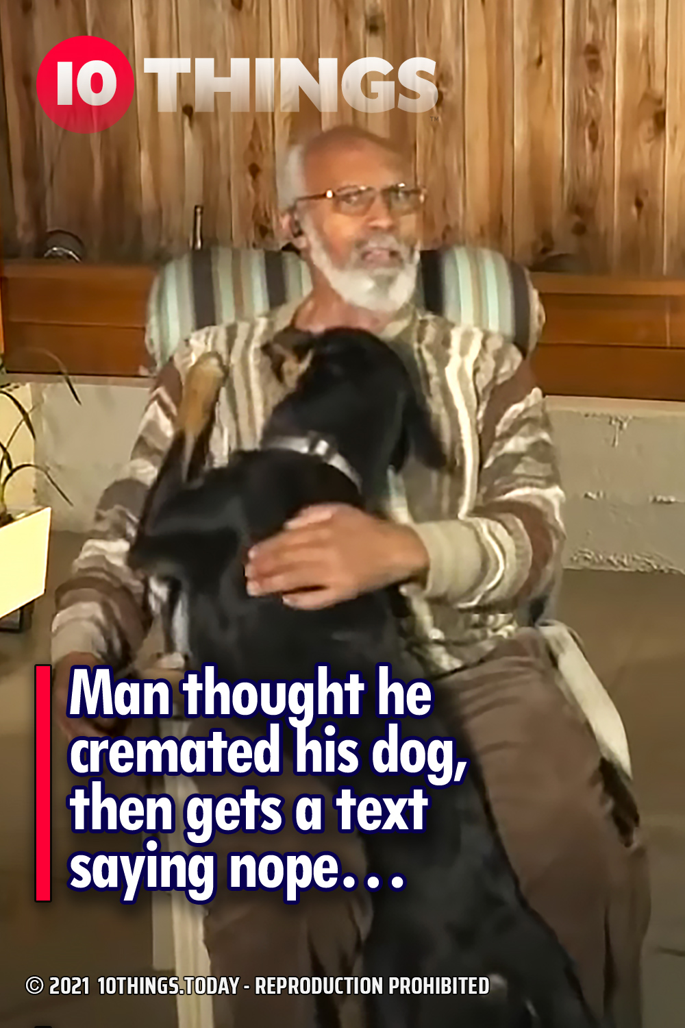 Man thought he cremated his dog, then gets a text saying nope…