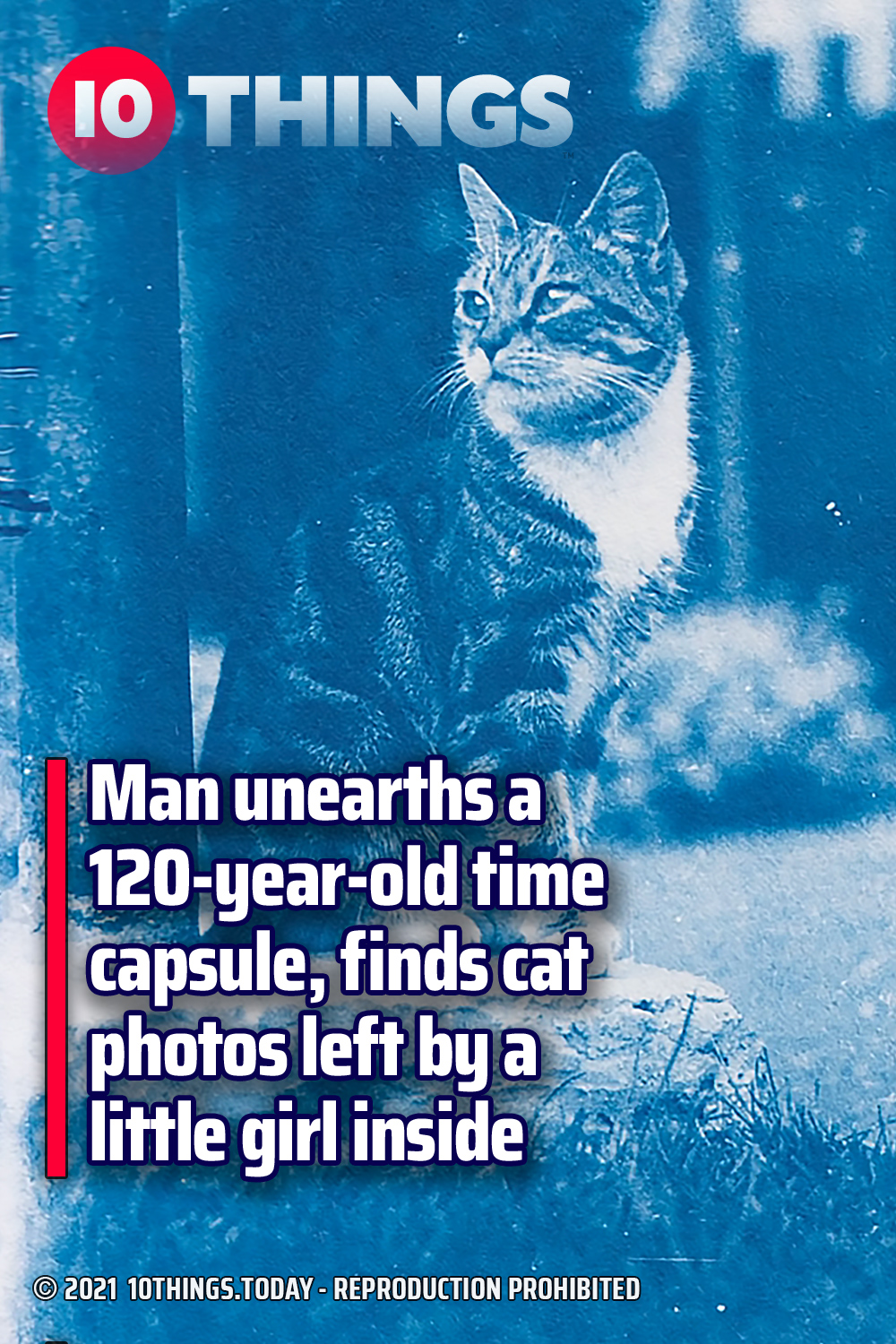 Man unearths a 120-year-old time capsule, finds cat photos left by a little girl inside