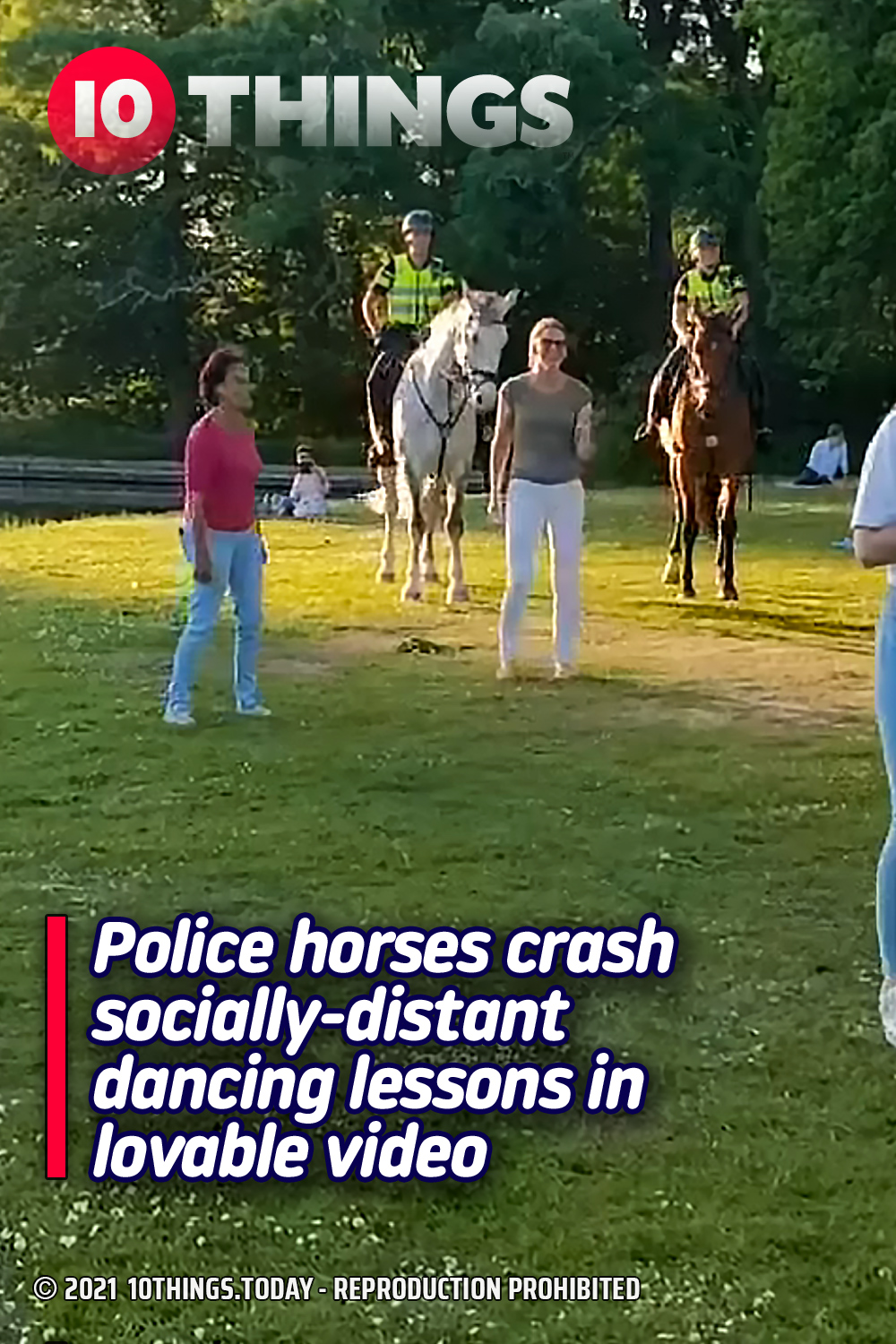 Police horses crash socially-distant dancing lessons in lovable video