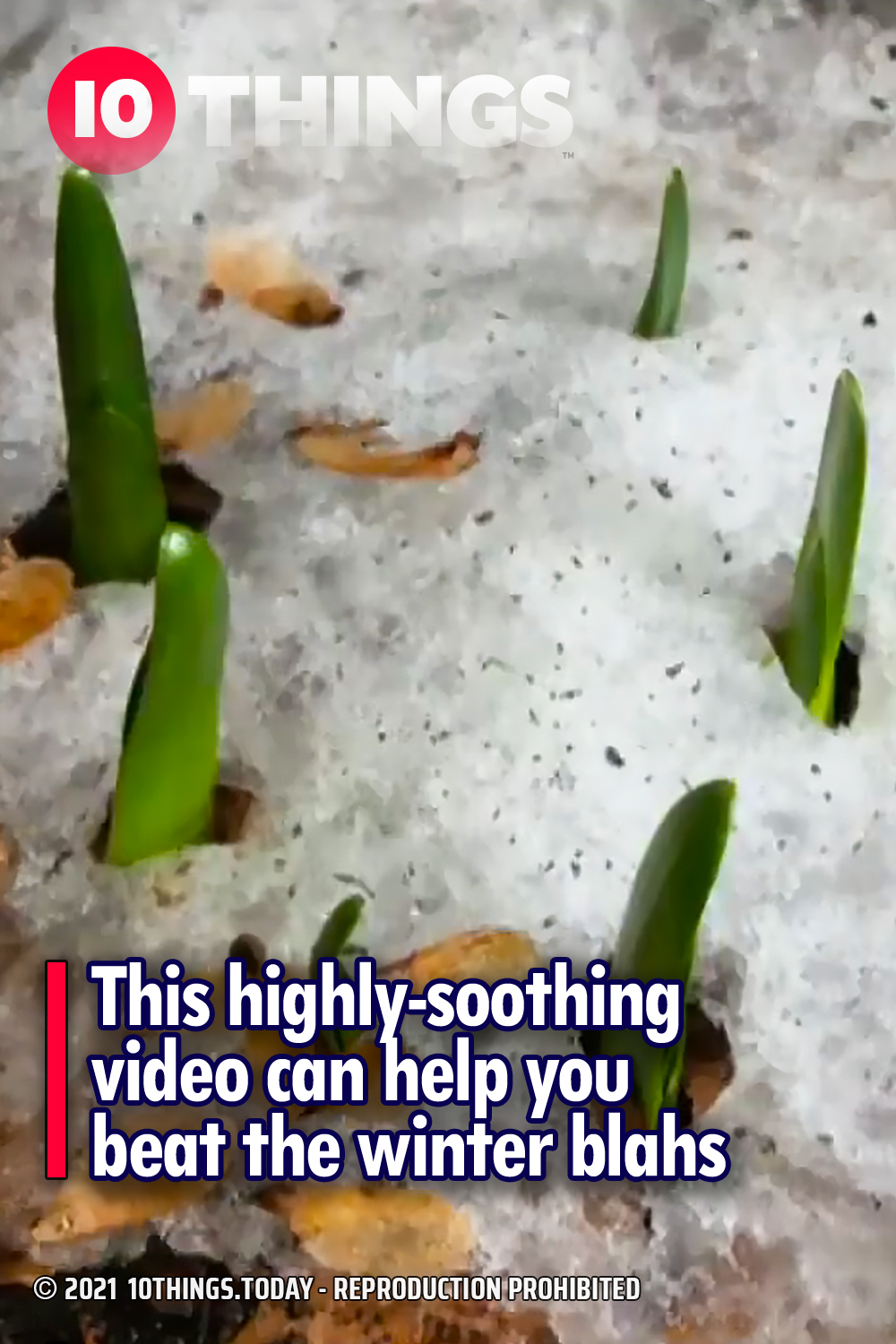 This highly-soothing video can help you beat the winter blahs