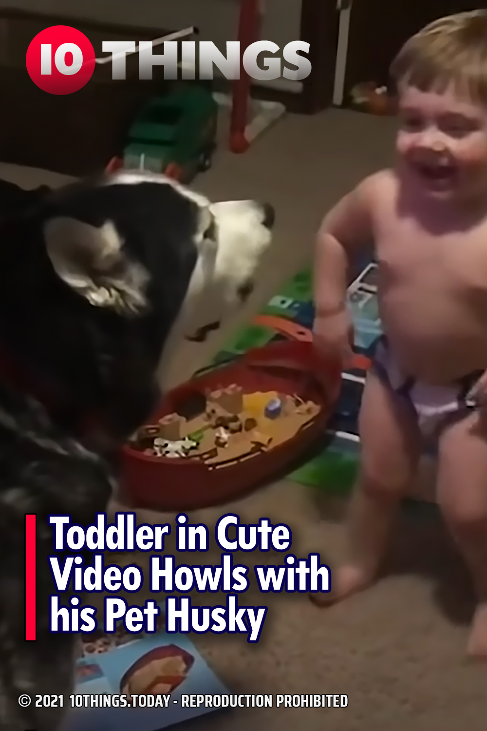 Toddler in Cute Video Howls with his Pet Husky