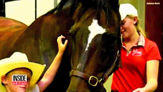 Meet this determined boy who saves thousands to own a pony