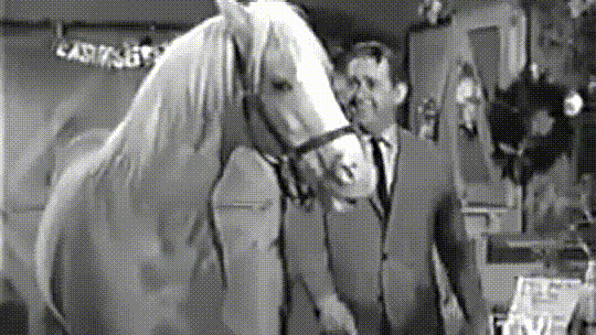 Mr. Ed tries to tell Wilbur how a horse saved Christmas