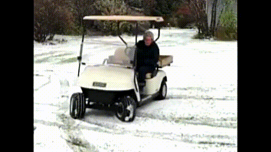91-year-old grandma puts her golf cart to test in her acreage