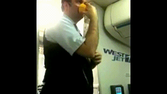 Flight attendant gives hilarious safety demo