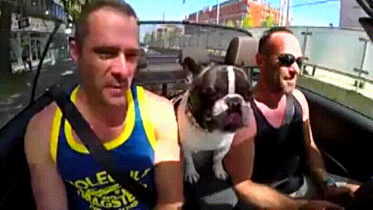 Two men and a pet enjoy a ride as they listen to Whitney Houston\'s song