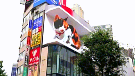 Shinjuku station hosts the biggest 3D Calico Cat of all time